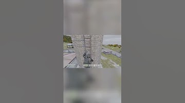 Why You Shouldn’t Climb Ladders In DayZ! #gaming #shorts #youtubeshorts #dayzstandalone #trending