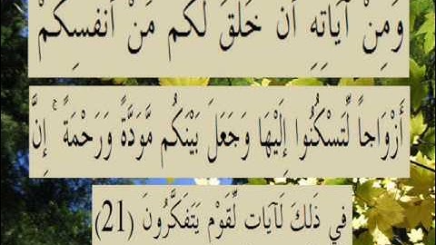 القران الكريم سورة الروم الأية 21.wmv