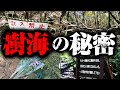 【樹海伝説検証】樹海を20年取材しているけど聞きたいことある?【村田らむ】