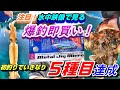｢革命的｣DAISOの新作メタルジグで釣りしたらいきなり５種目達成の大爆釣！ダイソーのメタルジグマイクロは即買い！
