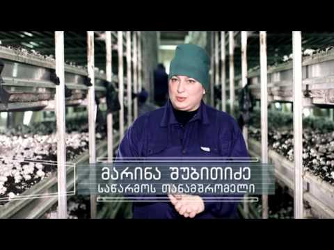 შპს „თეთრი ქუდი“