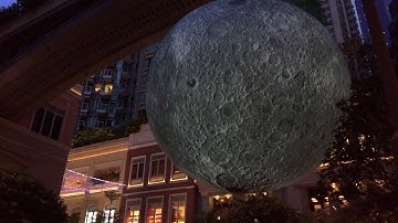 Steadicam Volt Tryout