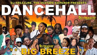 Dancehall Mix 2024 | New Dancehall Songs 2024 | BIG BREEZE | Squash, Masicka, Intence | DJ Treasure