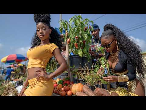 ✔️Friday The First Day Of Denbigh Agricultural Expo 2026 Full Walking Tour 4K