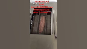 XY-600 fish slicing fillet machine, salmon slicer, beveling fish cutting filleting machine