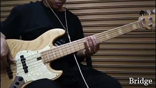 Vidi Aldiano - Aku Cinta Dia Bass Only Tutorial