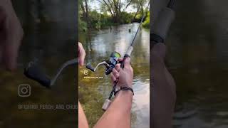 JDM engineering in motion: Cardiff AX &amp; Nasci FC ritual Pure monopoly. 🔱🍃 #shimano #fishing