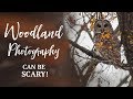 The Joys and Terrors of Woodland Photography | A Mix of Moment Macro Lens and DSLR