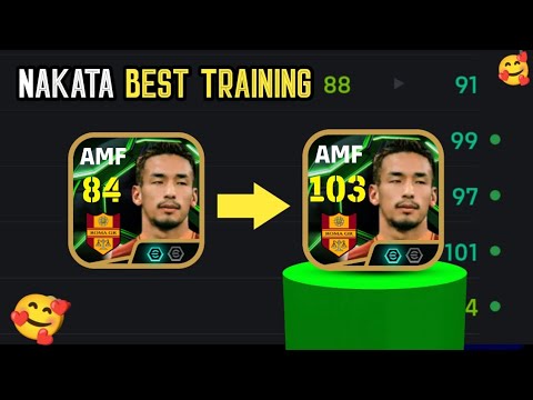 أفضل دليل تدريبي ل   المصنف ب 103 كيفية تدريب  في  2025  