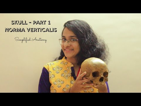 SKULL PART 1