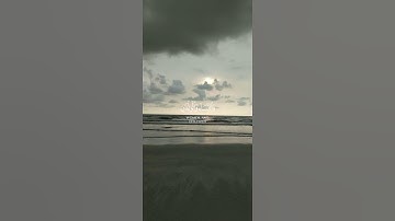 تلاوة من سورة النساء 🌸قرآن كريم 🌸القارئ محمد اللحيدان 🌸