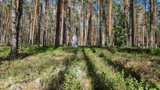 Modern Nature - Cascade (Official Video)