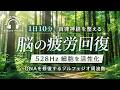 【528Hz・脳疲労回復】身体が喜ぶソルフェジオ周波数と自律神経を整える。睡眠導入、ストレス緩和、疲労回復　＃脳の疲れを取る音楽＃自律神経を調整する音楽　＃ソルフェジオ周波数