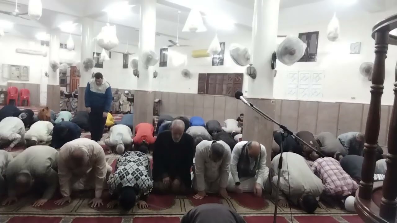 ٧ فبراير ٢٠٢٦