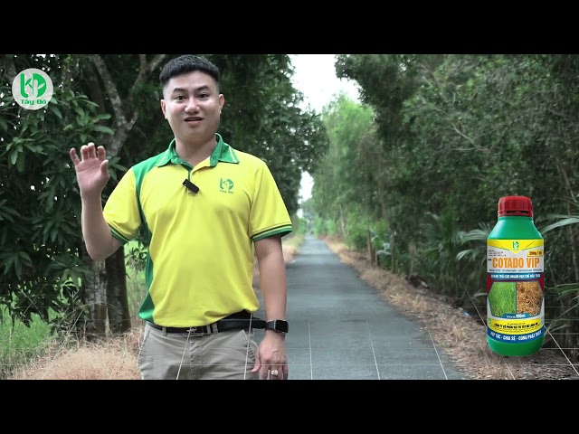 🌈Xin kính mời quý khách hàng cùng quý bà con nhà mình cùng nhìn ngắm con đường cỏ Tây Đô