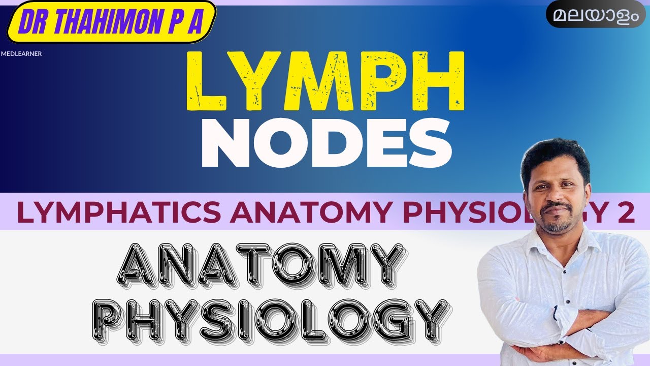 Lymph Nodes In Malayalam Lymph Node Anatomy Physiology Malayalam Lymph Lymph Nodes In Malayalam Lymph Node Anatomy Physiology Malayalam Lymph