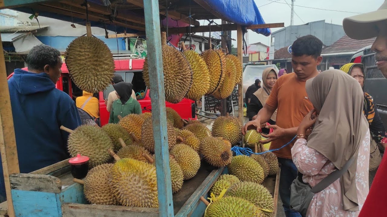 Durian Lokal - Bawor, Alpukat || Pasar Doro || 11 Januari 2026