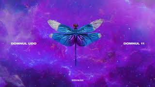 Domnul Udo - Trabajar feat. Amuly (Audio)