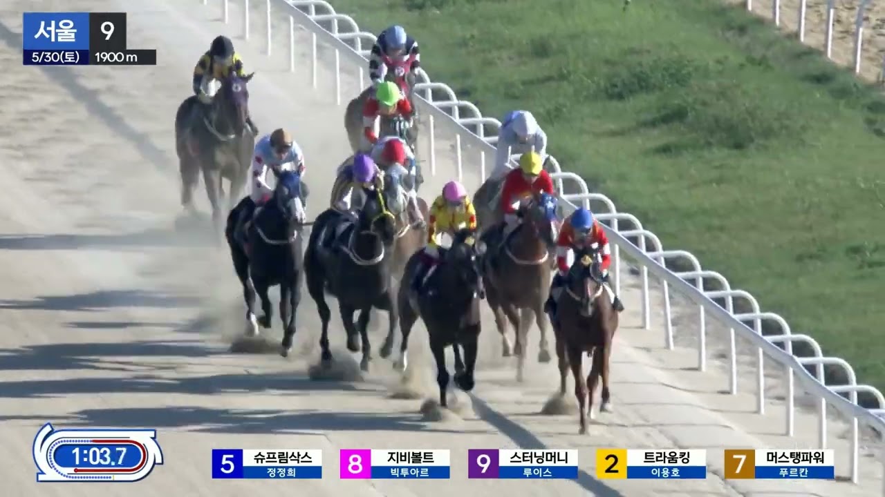 1900m 경주.얼마만에 보는 경주인가.