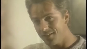 Don Johnson I Heartbeat I Can