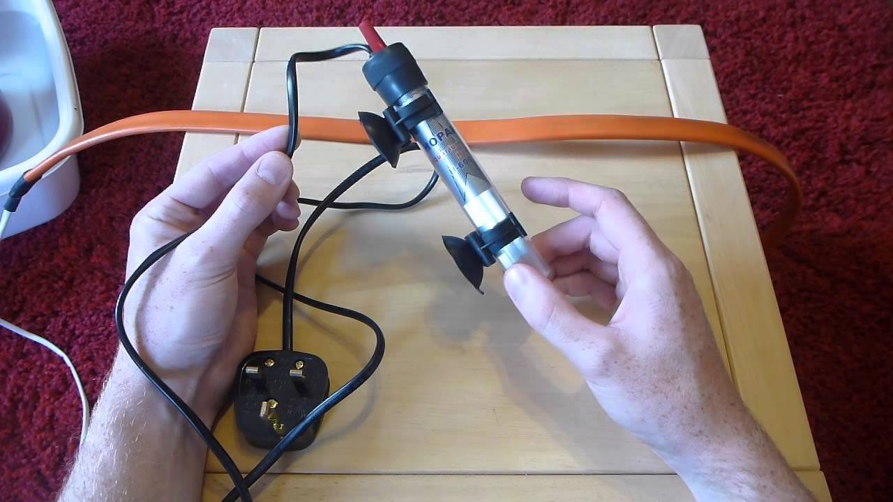 Dangers of using Aquarium Heaters for your Home Brew YouTube