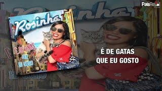 Video thumbnail of "Rosinha - É De Gatas Que Eu Gosto"