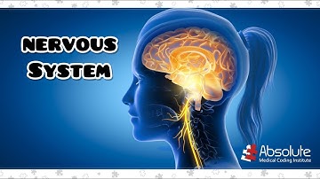 Nervous System and More CPT Medical Coding for the CPC and CCS Exams