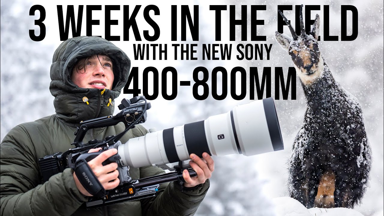 Gamechanger for Wildlife Photography? New Sony FE 400-800mm F6.3-8 G