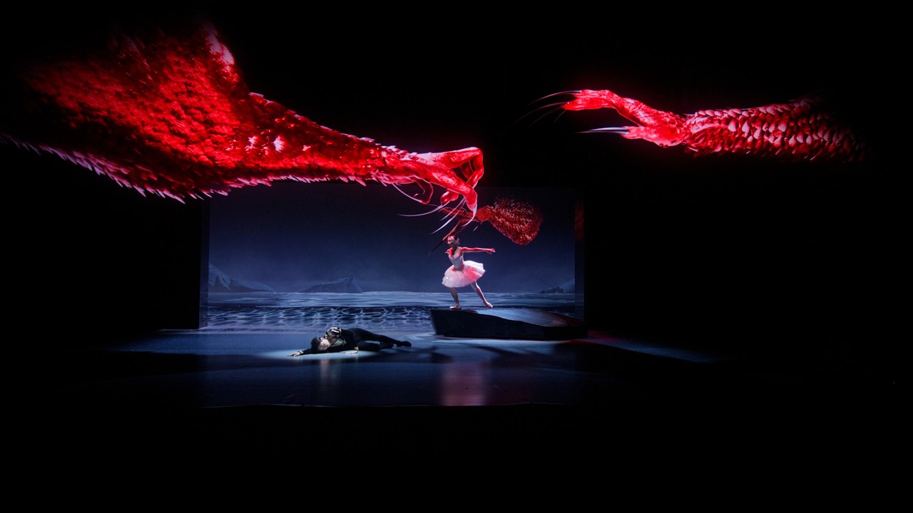 The holographic ballet Swan Lake