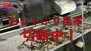 おやつ（おしゃぶり）昆布 切断作業