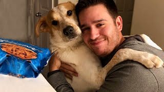 When your dog loves your boyfriend more than you 😱Cute Dog And Human Moments