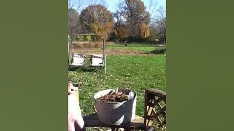 1/2 lb. Tannerite exploding target