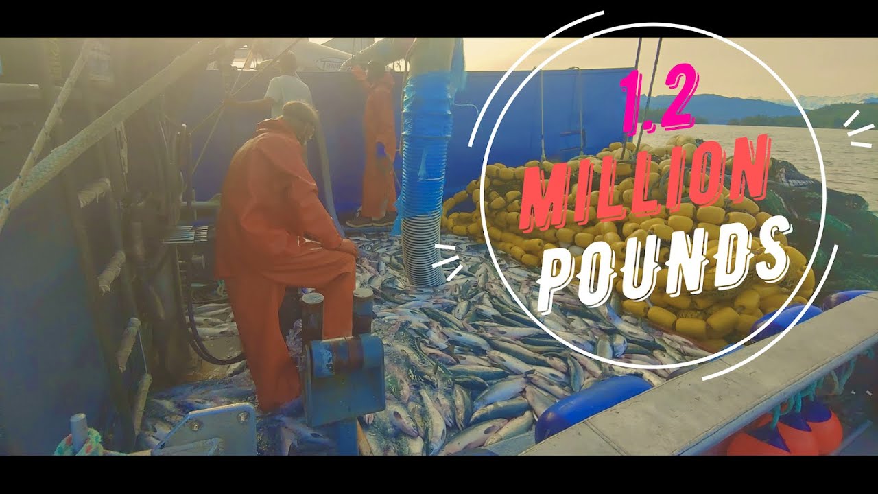 ALASKAN FISHING 2021-OVER 1,200,000 LBS!