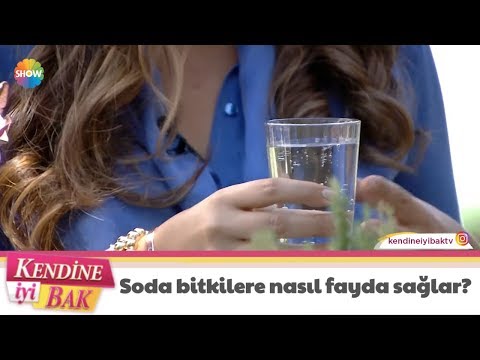 Video: Soda Pop On Bitkiler - Soda'nın Bitki Büyümesi Üzerindeki Etkileri