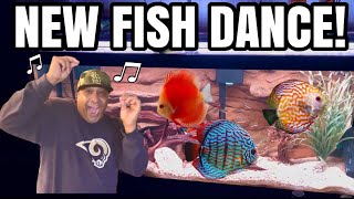 Added Rare New Fish in my Fish Room! *Tiki Lounge
Added some Rare New Fish in my fish room “Tiki Lounge” I’ve never kept or heard of these fish before, got them from Cameron at Cams Rams CamsRams.com or DM his Instagram links below⬇️
CAMSRAMS
IG
https://www.instagram.com/camsramscalifornia?igsh=NTc4MTIwNjQ2YQ
WEBSITE
https://camsrams.com/collections/all?page=3
Tancho Sanke Fund
Raising funds to purchase a Tancho Sanke and create content on it, Thank you for your Love and Support much Mahalo
🤙🏽VENMO
https://venmo.com/u/Mel-Marasco
🤙🏽PAYPAL
https://www.paypal.me/hawaiiheat
Promo Code
“Ohana”
get 10% off
AQUARIUM/REPTILE DEPOT
SHOP ON LINE
https://depotpet.shop/?fbclid=PAAaZ7k3ZPsoQvWNvtunjtqu5E6nZSTCylbekxfebk9HByt7wX0Dgzu20n_RM_aem_AZblC5ziImgmnSE1ffQmvEsvwA3ZMKJe1DSphtqJHDcC_yxg4O0ZBjInd45YMtdFmns
YouTube
https://www.youtube.com/channel/UCvATv4gp3ZR9jXI1wBt7INg
INSTAGRAM
https://instagram.com/aquariumdepot?utm_source=ig_profile_share&igshid=1dui40ayjrqox
FACEBOOK
https://www.facebook.com/AquariumDepot/
KOI ENTERPRISE
Download Free App
Order Minn Finn
Hey! Use code TVGGREF for $15 off your first purchase on the Koi Enterprise App!
APP
https://koienterprise.commentsold.com/links
IG
https://instagram.com/koidealer?utm_medium=copy_link
FACEBOOK
https://www.facebook.com/koienterprise/
TIKTOK
https://vm.tiktok.com/TTPd2WBYYF/
WEBSITE
http://www.koienterprise.com/
MOUNTAIN TREE
Questions
To Purchase MT products EMAIL👇🏽👇🏽
info@wave-point.com
WEBSITE
https://www.imountaintree.com/
EMAIL 4@imountaintree.com
IG
https://instagram.com/mountaintreegroup?igshid=NTdlMDg3MTY=
YOUTUBE
https://youtube.com/@mountaintreegroup?si=acHD5ZsbyIJFeHkI
HYGGER/AQQA
Website
https://www.shareasale.com/r.cfm?b=1856999&u=2996627&m=115814
YOUTUBE
https://youtube.com/channel/UC2R9_PDKg_d3C9iOq8OTtWA
IG
https://instagram.com/hyggeraquarium?utm_medium=copy_link
MICROBE-LIFT
https://microbelift.com/
IG
https://instagram.com/microbelift?igshid=MzRlODBiNWFlZA
YouTube
https://youtube.com/@microbeliftproducts?si=WGr5IGP1DIlcqAv-
SICCE
PLAYLIST
https://youtube.com/playlist?list=PLpHw9_vsV8hvS8rnUu8-B2PmlJuDKtC3c
IG
https://instagram.com/sicceus?utm_medium=copy_link
WEBSITE
https://www.sicce.com/it/
POND DIGGER SIGN VIDEO
https://youtu.be/Tb-EfelKjTA?si=C0l4u9yJc8FhL4Tw
THE POND DIGGER
LINKTR.EE
https://linktr.ee/theponddigger?fbclid=PAAab_Tot5W-z_TWKZA4aRr-HOj0zx7vkycBAB6z4YZuSvB-yTFVsHXneXZio
THE POND DIGGER PODCAST
https://podcasts.apple.com/us/podcast/the-pond-digger-podcast/id1439751720
HELIX SKIMMER
https://youtu.be/FgKeJOzoGwI
MEDAKA LAIR
https://www.instagram.com/the.medaka.lair?igsh=NTc4MTIwNjQ2YQ
NOLANS AQUARIUM
YouTube
https://youtu.be/-CqgVqth3jE
IG
https://instagram.com/nolansaquariumco?utm_medium=copy_link
WEBSITE
https://nolansaquarium.co/
MINN FINN
Playlist
https://youtube.com/playlist?list=PLpHw9_vsV8hupoimpyNuNX5abt6Gc1Jlo&si=4aC4THEOjSPp_L-0
PAUL CURTIS
http://Www.MinnFinn.com
Literature
Calculator
ULTRA FRESH
Instagram
https://www.instagram.com/ultrafresh.usa?igsh=MzRlODBiNWFlZA
YouTube
https://youtube.com/@ultrafresh-shrimpdelight?si=DayfoRGcEyd7vt_s
ISLAND SILVER CROWNS
IG
https://instagram.com/islandsilvercrowns?utm_medium=copy_link
WEBSITE
https://www.islandsilvercrowns.com/
Follow Me!!
🤙🏽Subscribe 👉🏽🔴Youtube
https://www.youtube.com/user/kainoahuleia
🤙🏽Instagram
https://www.instagram.com/haynfishkeeper/
Ha Y N Fish Keeper MERCH
COMING SOON!!
📹WEEKLY VIDEOS📹
Ha Y N Fish Keeper Playlists
🐠 POPULAR UPLOADS
https://www.youtube.com/playlist?list=PLE0EA763684EEA34D
MUSIC Outro
Na Hana Hui A Maui
Mark Keali’i Hoʻomalu
(I do not Own the rights All rights the owner)
https://youtu.be/JKms_AtWWzs Added Rare New Fish in my Fish Room! *Tiki Lounge
