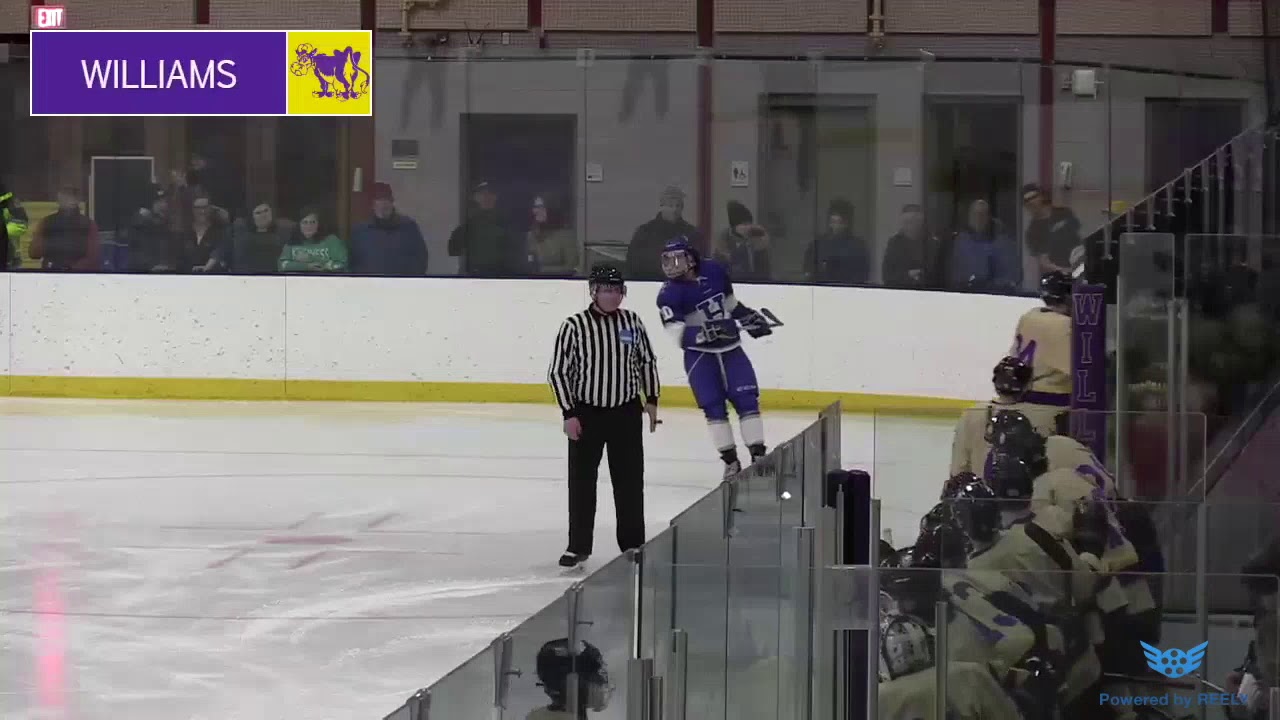 Williams v. Hamilton Men's Hockey Highlights (2/21/20) YouTube