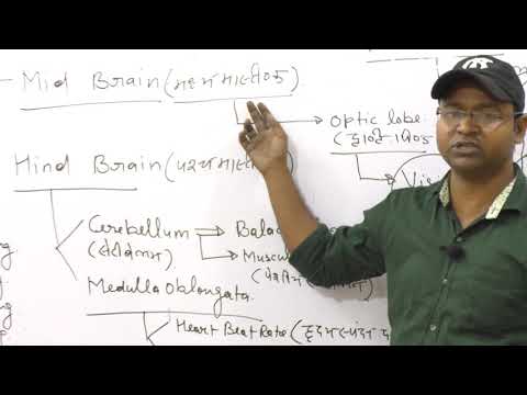 Biology lec 08 - Biology lec 08
