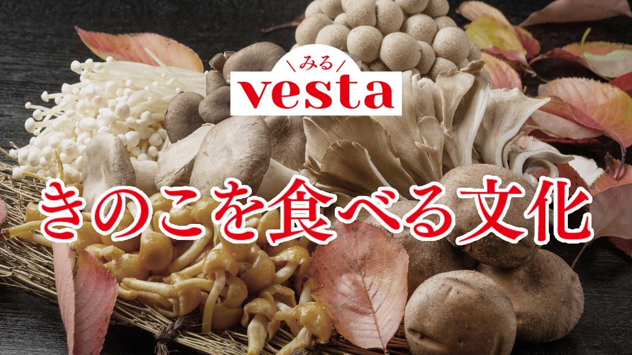 vesta 140号(2025秋号)』(公財)味の素食の文化センター編他 - 田舎の