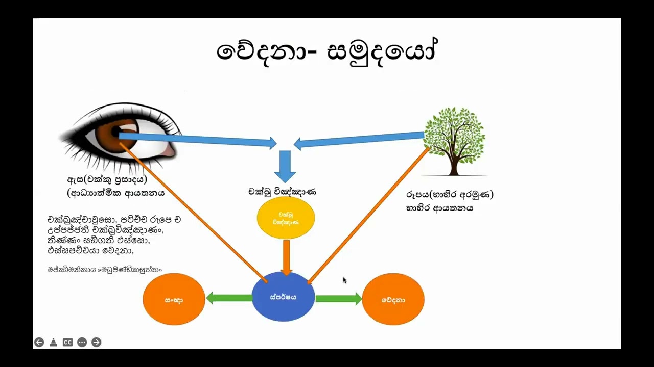 ගිරිමානන්ද සුත්‍රය
