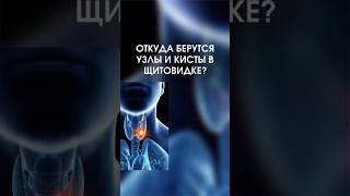 Откуда берутся узлы и кисты в щитовидке