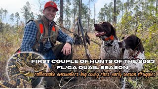 First few WILD FL/GA Quail hunts of the 23' season!