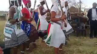 Gogu thokoza mabhosini