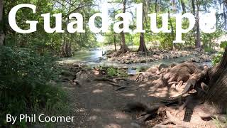 Guadalupe News