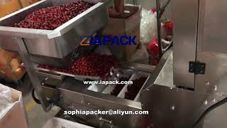 Iapack---Automatic date packaging machine