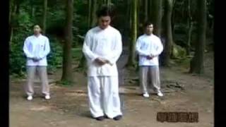 Tao yin (dao yin, do in, do yin, tao in) qigong exercises vježbe