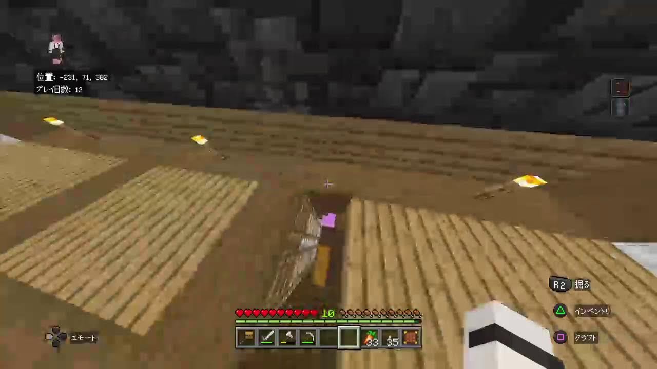 [マイクラ]りあんの配信