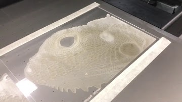 Lizard 2.5D Sample - JFX200-2513EX