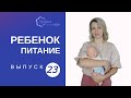 Пюре в прикорме: как долго использовать?