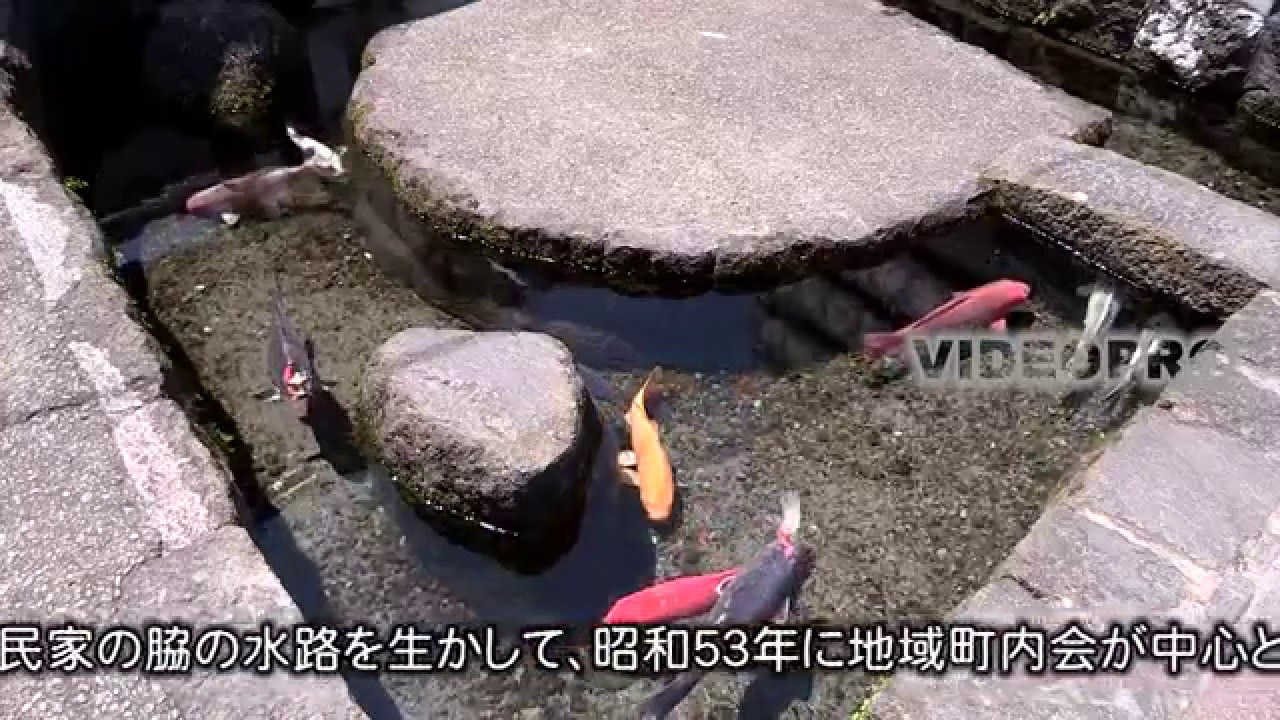 涼しい 湧水の都島原 Shimabara Where A Lot Of Underground Water Comes Out Youtube 涼しい 湧水の都島原 Shimabara Where A Lot Of Underground Water Comes Out Youtube