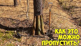 Коп 2018 - ВСЮ НОЧЬ СНИЛИСЬ ОНИ, и на ВЫБИТОМ МЕСТЕ ТОЛЬКО Я ИХ СМОГ НАЙТИ!